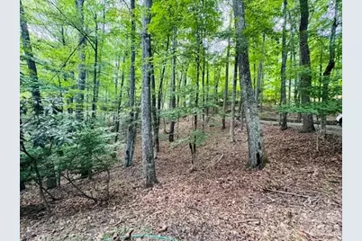 624 Fox Den Road, Mars Hill, NC 28754 - Photo 3