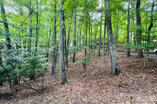 624 Foxden Rd, Mars Hill, NC 28754 - Photo 3