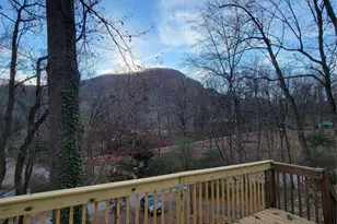 138 Buddy Ln, Chimney Rock, NC 28720 - Photo 5