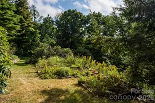 28 Peach Knob Dr, Asheville, NC 28804 - Photo 43