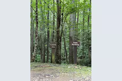Lot #35 Damselfly Court, Spruce Pine, NC 28777 - Photo 5