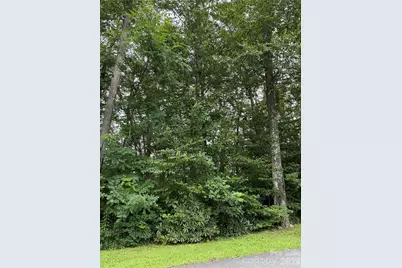 Lot #35 Damselfly Court, Spruce Pine, NC 28777 - Photo 9