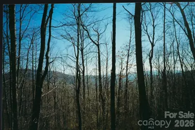 Lot #35 Damselfly Court, Spruce Pine, NC 28777 - Photo 1