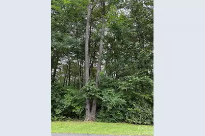Lot #35 Damselfly Court, Spruce Pine, NC 28777 - Photo 11