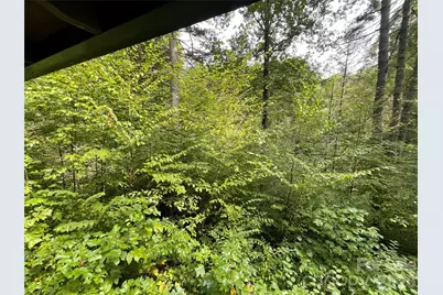 100 Creek Bend Road, Waynesville, NC 28786 - Photo 13