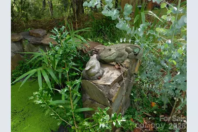 296 Acorn Lane, Rutherfordton, NC 28139 - Photo 41