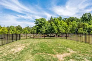 14129 Canemeadow Dr, Charlotte, NC 28278 - Photo 19