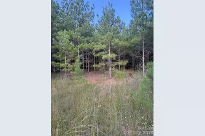 00 Pleasant Grove Church Road, Wadesboro, NC 28170 - Photo 3