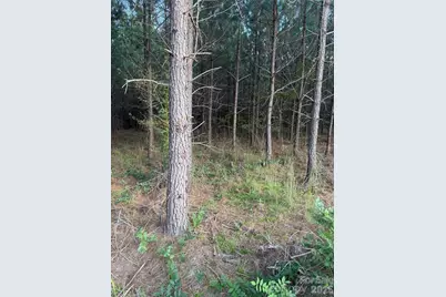 00 Pleasant Grove Church Road, Wadesboro, NC 28170 - Photo 5