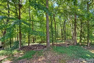 8596 Ledford Ave, Connelly Springs, NC 28612 - Photo 41
