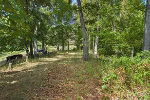 641 Scruggs Cir, Canton, NC 28716 - Photo 41
