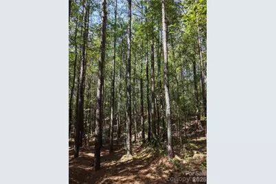 Tbd Nc Hwy 109 None N, Wadesboro, NC 28170 - Photo 23