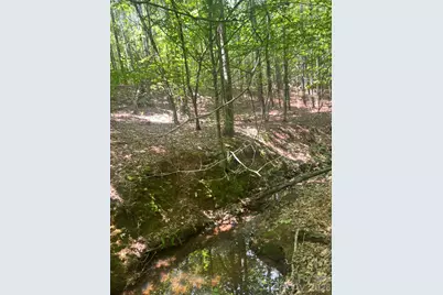 Tbd Nc Hwy 109 None N, Wadesboro, NC 28170 - Photo 25