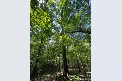 Tbd Nc Hwy 109 None N, Wadesboro, NC 28170 - Photo 29