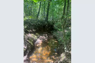 Tbd Nc Hwy 109 None N, Wadesboro, NC 28170 - Photo 27