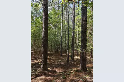 Tbd Nc Hwy 109 None N, Wadesboro, NC 28170 - Photo 21