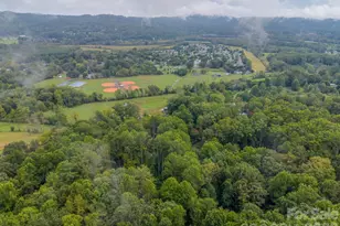 117 Drexel Rd, Hendersonville, NC 28739 - Photo 35