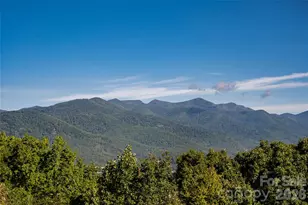 126 Wild Flower Cove Dr, Swannanoa, NC 28778 - Photo 5
