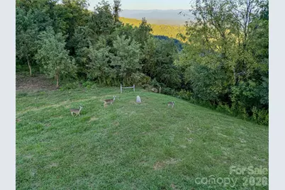 1045 & 1047 Graham Road, Marshall, NC 28753 - Photo 9