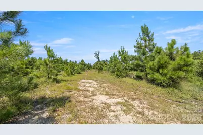 318 McFarlan Road, Morven, NC 28119 - Photo 41