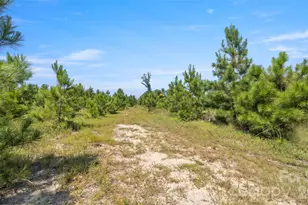 318 McFarlan Rd, Morven, NC 28119 - Photo 41