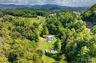 1000 Halewood Rd, Marshall, NC 28753 - Photo 35
