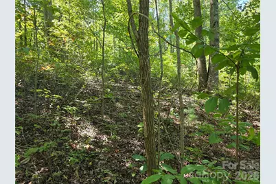 19 Meditation Ridge Drive, Nebo, NC 28761 - Photo 15
