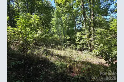 19 Meditation Ridge Drive, Nebo, NC 28761 - Photo 13