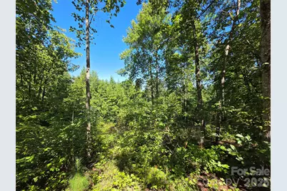 19 Meditation Ridge Drive, Nebo, NC 28761 - Photo 17