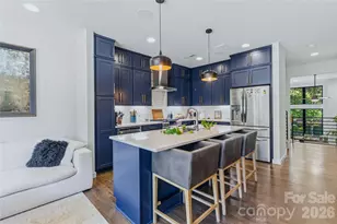 416 E 33rd St, Charlotte, NC 28205 - Photo 11