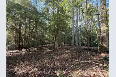 000 Reserve Way #10, Hendersonville, NC 28792 - Photo 11