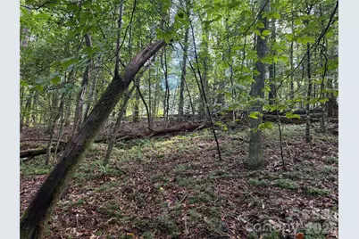 000 Reserve Way #10, Hendersonville, NC 28792 - Photo 5