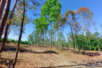 0 Carson Road #3, Cleveland, NC 27013 - Photo 5