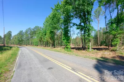 0 Carson Road #3, Cleveland, NC 27013 - Photo 3