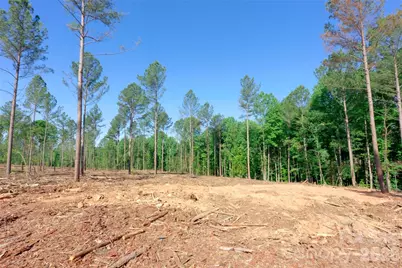 0 Carson Road #4, Cleveland, NC 27013 - Photo 5