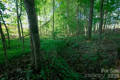 0 Carson Road #4, Cleveland, NC 27013 - Photo 7