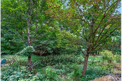18 Sulphur Springs Road, Asheville, NC 28806 - Photo 41