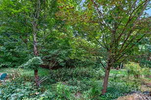 18 Sulphur Springs Rd, Asheville, NC 28806 - Photo 41