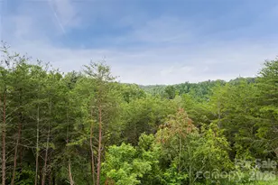 181 Flint Morgan Rd, Mars Hill, NC 28754 - Photo 21