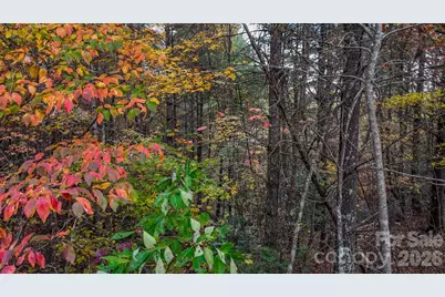 00 Carsons Way #58, Collettsville, NC 28611 - Photo 15