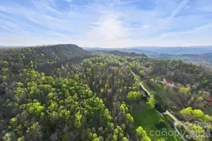 1079 Dupont Rd, Hendersonville, NC 28739 - Photo 39