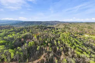 1079 Dupont Rd, Hendersonville, NC 28739 - Photo 37