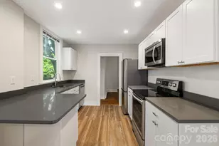 295 E Chestnut St, Asheville, NC 28801 - Photo 7