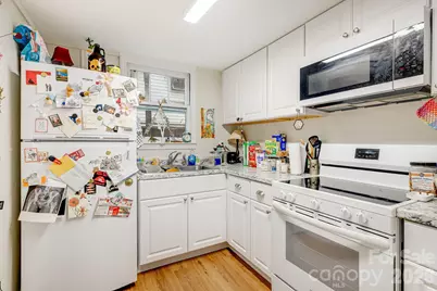 295 E Chestnut Street, Asheville, NC 28801 - Photo 19
