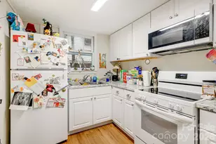 295 E Chestnut St, Asheville, NC 28801 - Photo 19