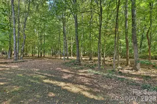 12727 Duncourtney Ln, Charlotte, NC 28277 - Photo 39