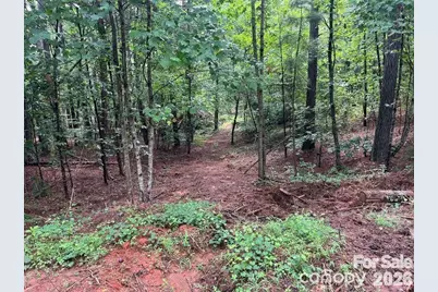 560 Hester Mill Road, Rutherfordton, NC 28139 - Photo 5