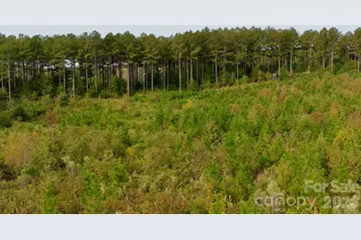 0 St Martin Road, Oakboro, NC 28001 - Photo 33