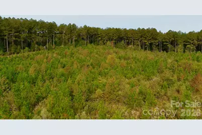 0 St Martin Road, Oakboro, NC 28001 - Photo 21