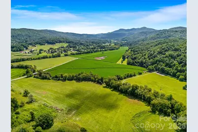 96 Merle Farm Lane, Pisgah Forest, NC 28768 - Photo 9